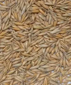 Овес/1кг/Україна