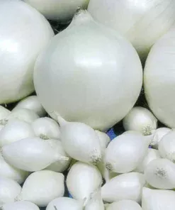 Купить лук СноуБол Киев,Украина