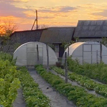 Головна -СадОК все для саду та городу