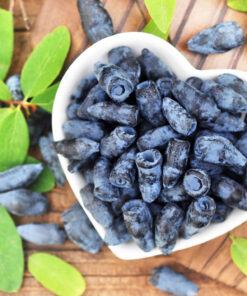 Саджанець Жимолость Хоней Бі/2-річна/Декоплант