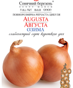 Насіння цибулі озима Августа/300нас/Сонячний березень