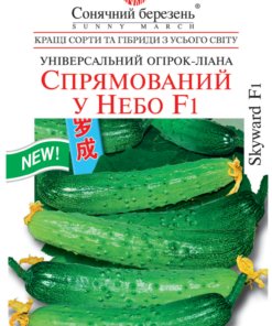 Насіння огірка Спрямований у небо F1/10нас/Сонячний березень