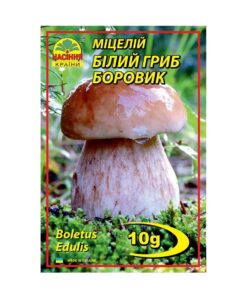 Міцелій грибів Білий гриб Боровик/10г/Насіння Країни