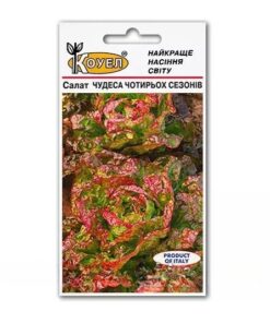 Насіння салату Чудеса чотирьох сезонів/1г/Коуел