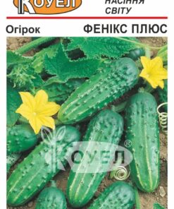 Насіння огірка Фенікс-Плюс/1г/Коуел