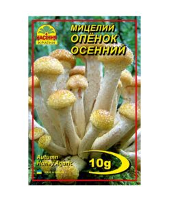 Міцелій грибів Опеньок осінній/10г/Насіння Країни