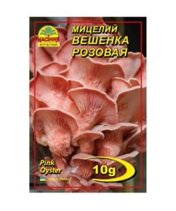 Міцелій грибів Глива рожева/10г/Насіння Країни