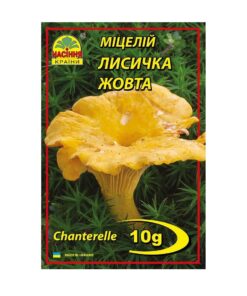Міцелій грибів Лисичка жовта/10г/Насіння Країни