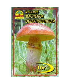 Міцелій грибів Маслюк/10г/Насіння Країни