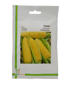 Насіння кукурудзи цукрової Айова-Нова F1, 10г, 70+/- 5 насінин, Імперія Насіння