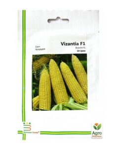 Насіння кукурудзи цукрової Візантія F1, 10г, 70+/- 5 насінин, Імперія Насіння