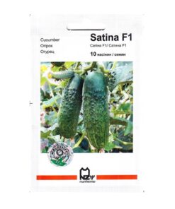 Насіння огірка Сатіна F1, 10 насінин, Агропакгруп