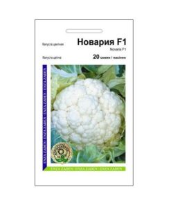Насіння капусти цвітної Новарія, 20 насінин, Агропакгруп