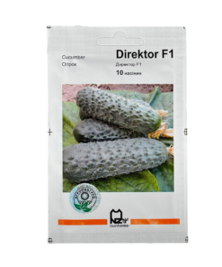 Насіння огірка Директор F1, 10 насінин, Агропакгруп