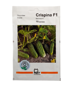 Насіння огірка Кріспіна F1, 15 насінин, Агропакгруп