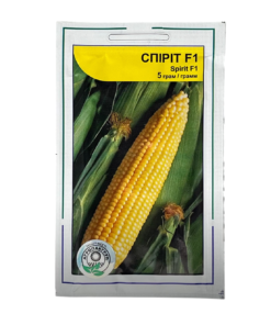 Насіння кукурудзи Спіріт, 5г, Агропакгруп