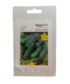 Насіння огірка Регія F1, 20 насінин, Агропакгруп