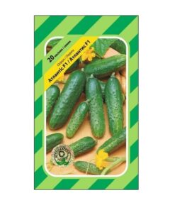 Насіння огірка Атлантіс F1, 20 насінин, Агропакгруп