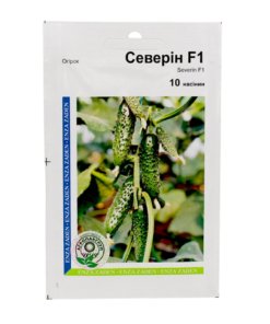 Насіння огірка Северін F1, 10 насінин, Агропакгруп