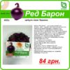 Купить лук Ред Барон