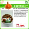Купить лук Геркулес F1 Киев Украина /1 кг/Broer Голландія