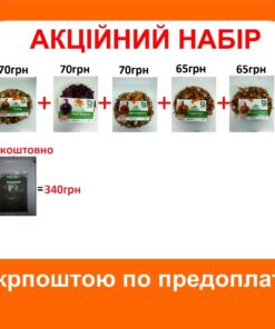 Купить Голландську цибулю Киев