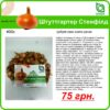 Купить лук Штутгартен Украина