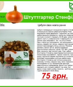 Купить лук Штутгартен Украина