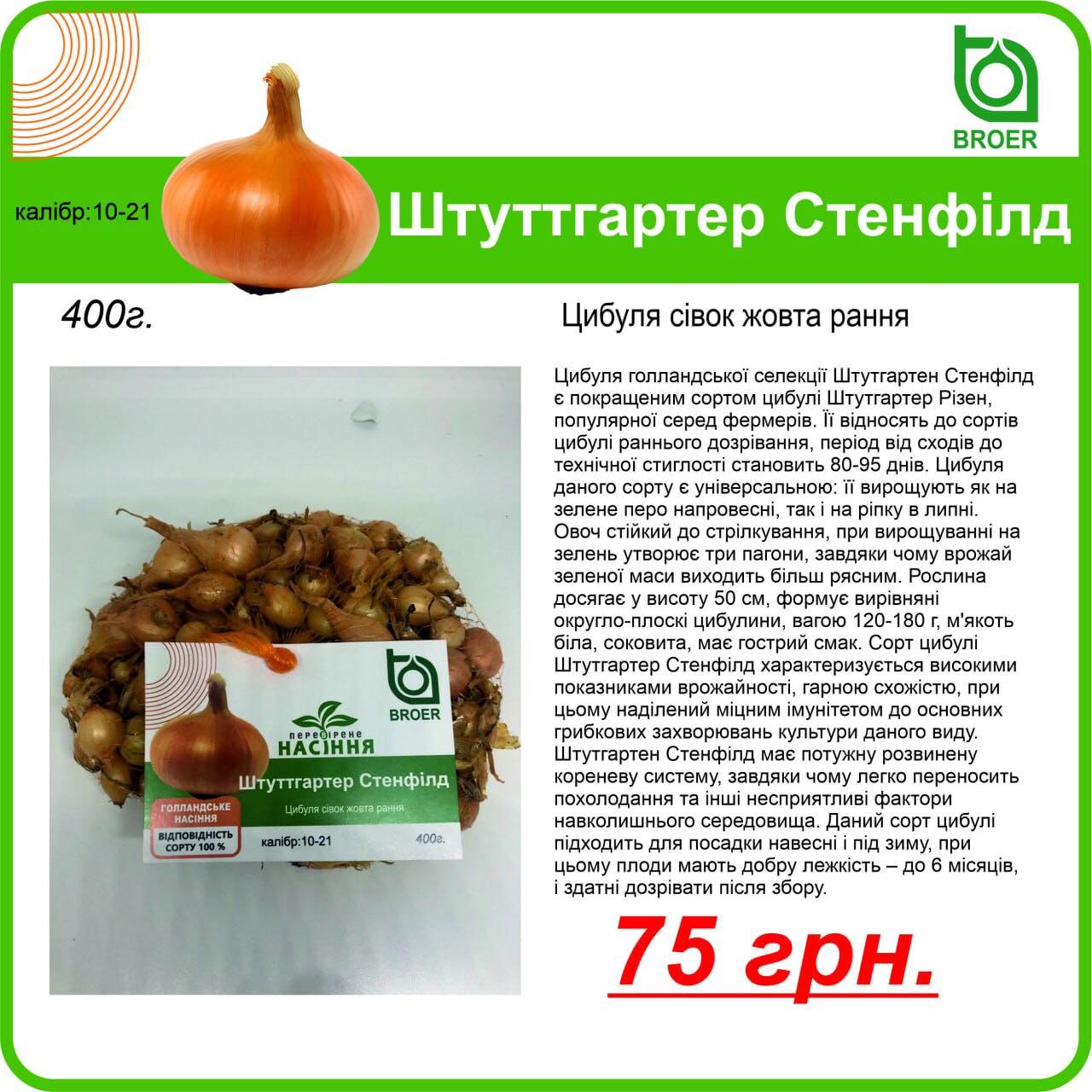 Купить лук Штутгартен Украина