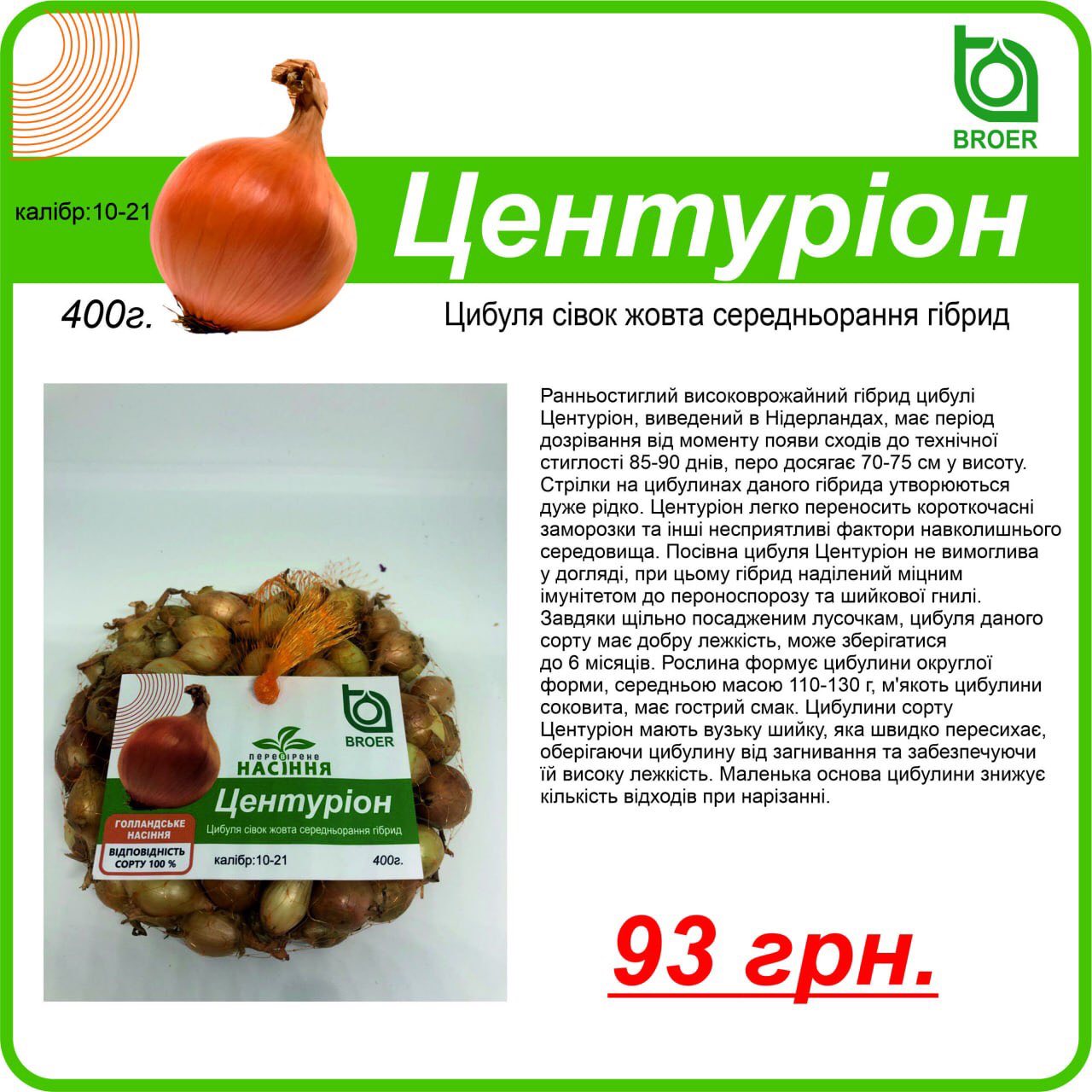 Цибуля садушка Центуріон