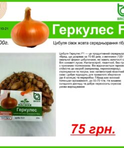 Купить лук Геркулес F1 Киев Украина /1 кг/Broer Голландія