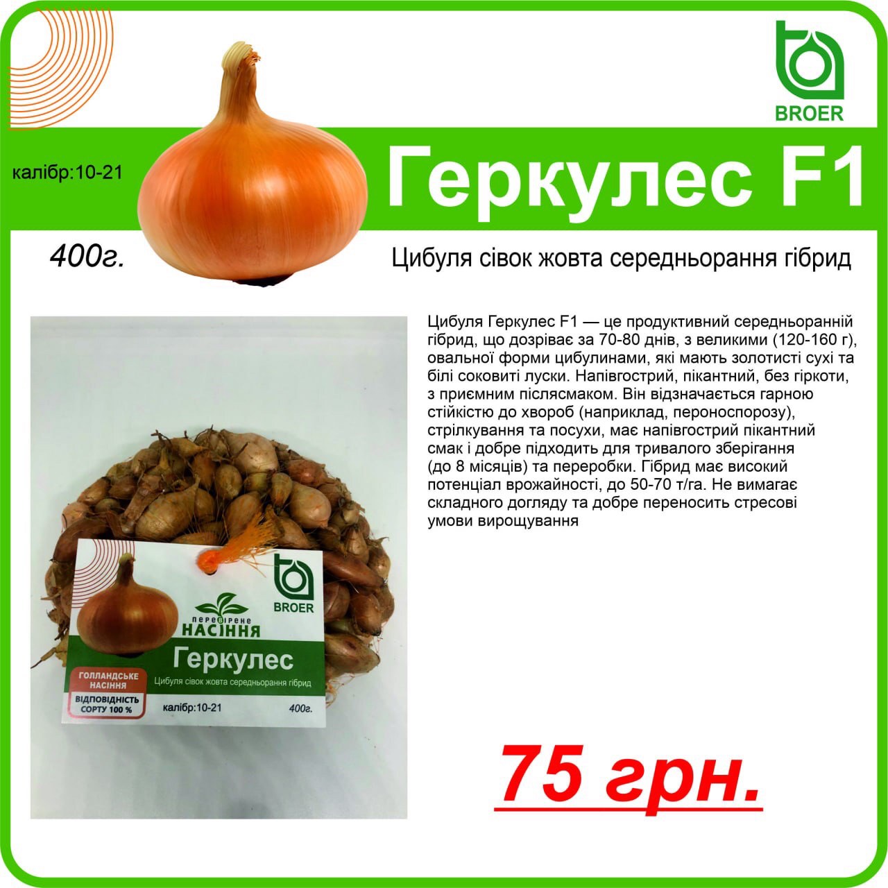 Купить лук Геркулес F1 Киев Украина /1 кг/Broer Голландія