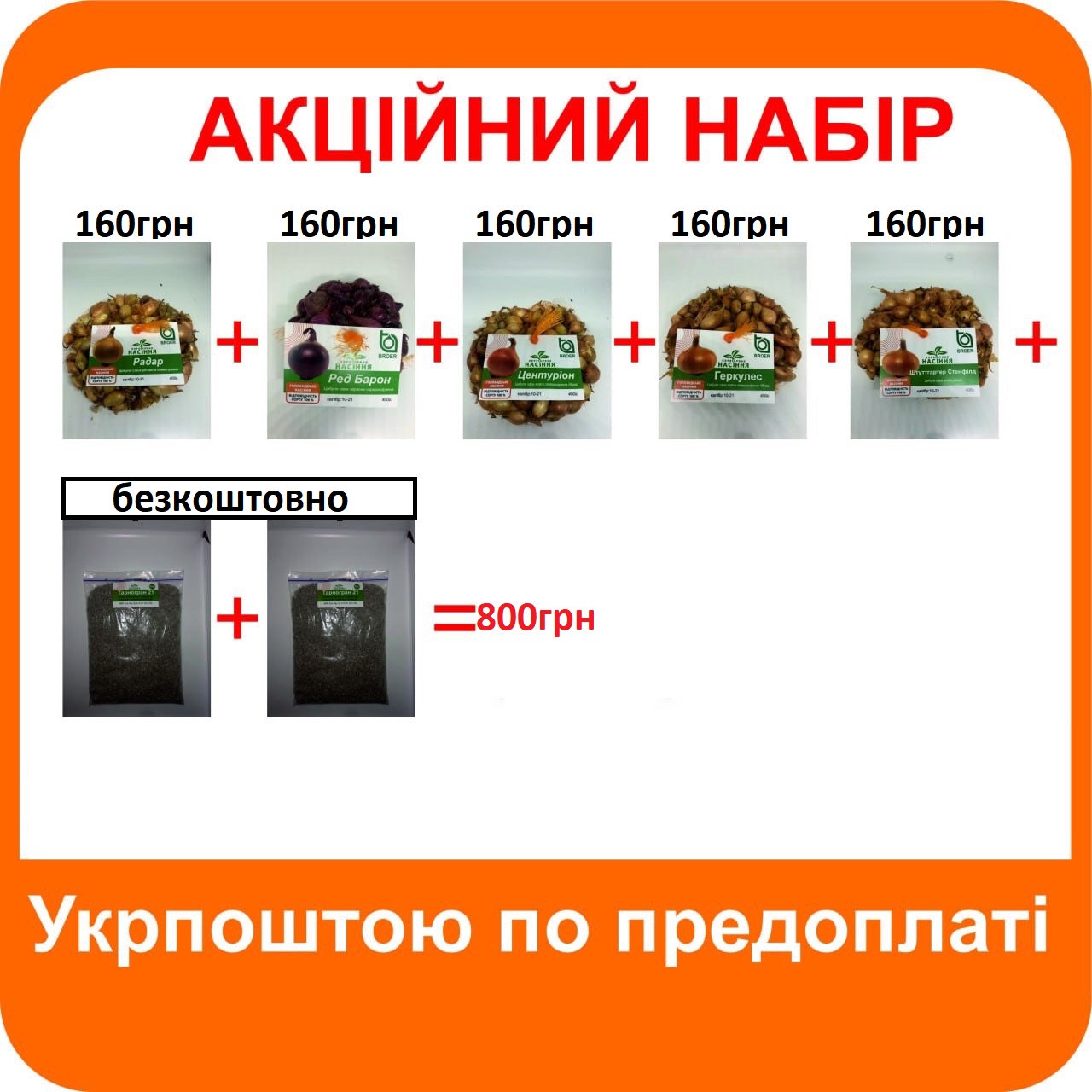 Голландська цибуля Акційній набір Киев Украина