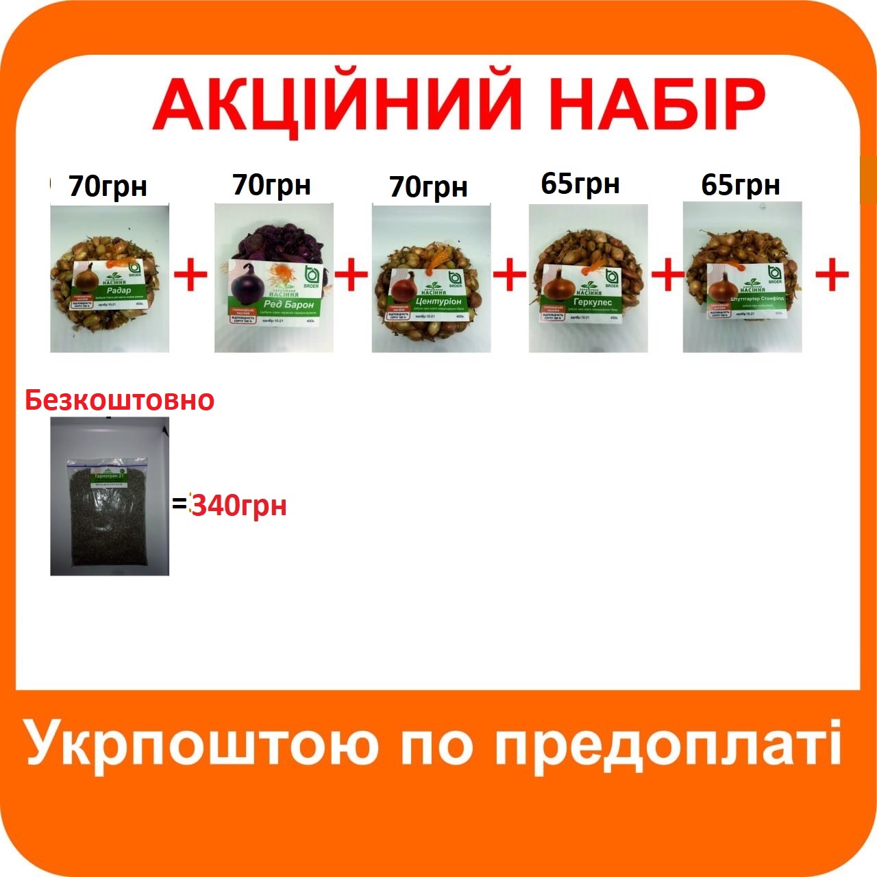 Купить Голландську цибулю Киев