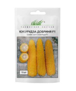 Купить кукурудзи Добриня F1 Киев
