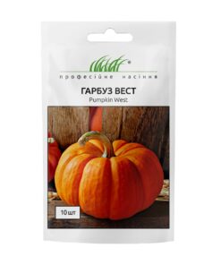 Купить насіння гарбуз Вест