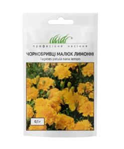 Купить Чорнобривці розлогі Малюк