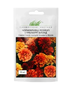 Чорнобривці розлогі Страуберрі Блонд