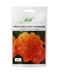 Чорнобривці розлогі Малюк помаранчевий