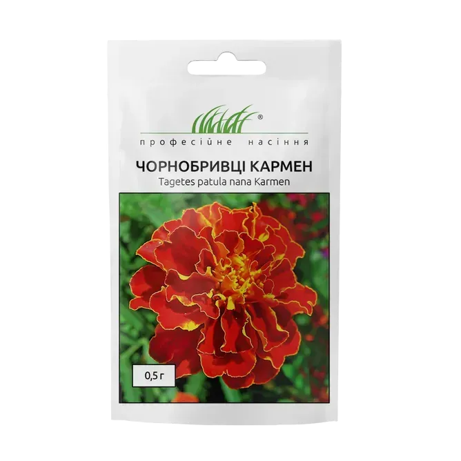Купить Чорнобривці розлогі Кармен