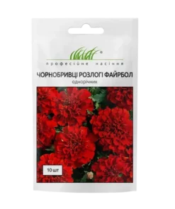 Купить Чорнобривці розлогі Файрбол