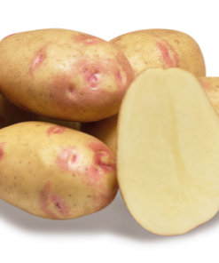 Картопля Пікассо купить