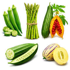 Екзотичні рослини