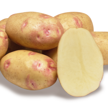 Картопля Пікассо купить