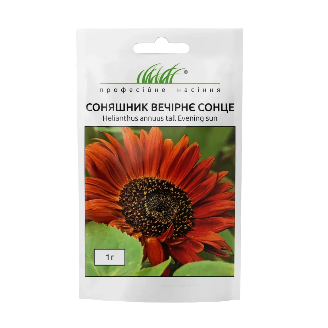 Купить Соняшник Вечірнє сонце