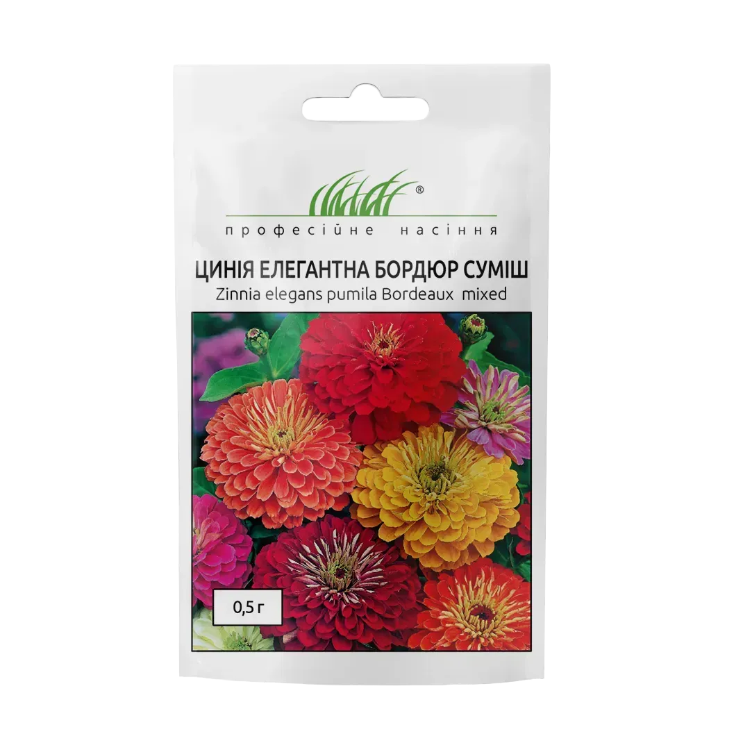 Купить Цинія елегантна Бордюр